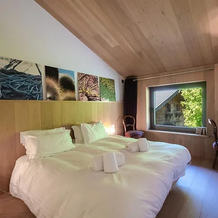 Contemporain Avec Sauna, Cheminee, Et Grand Jardin - Fr-1-343-243 Chalet *