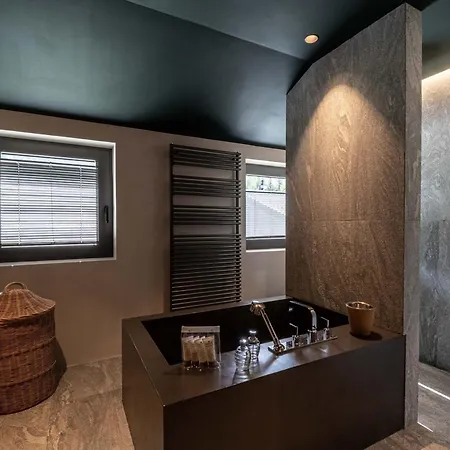 Contemporain Avec Sauna, Cheminee, Et Grand Jardin - Fr-1-343-243
