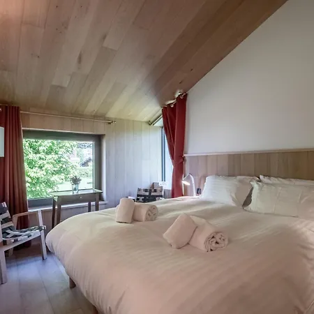 Contemporain Avec Sauna, Cheminee, Et Grand Jardin - Fr-1-343-243 Chalet